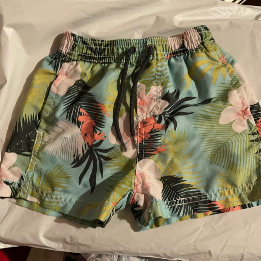 Carter’s swim trunks EUC